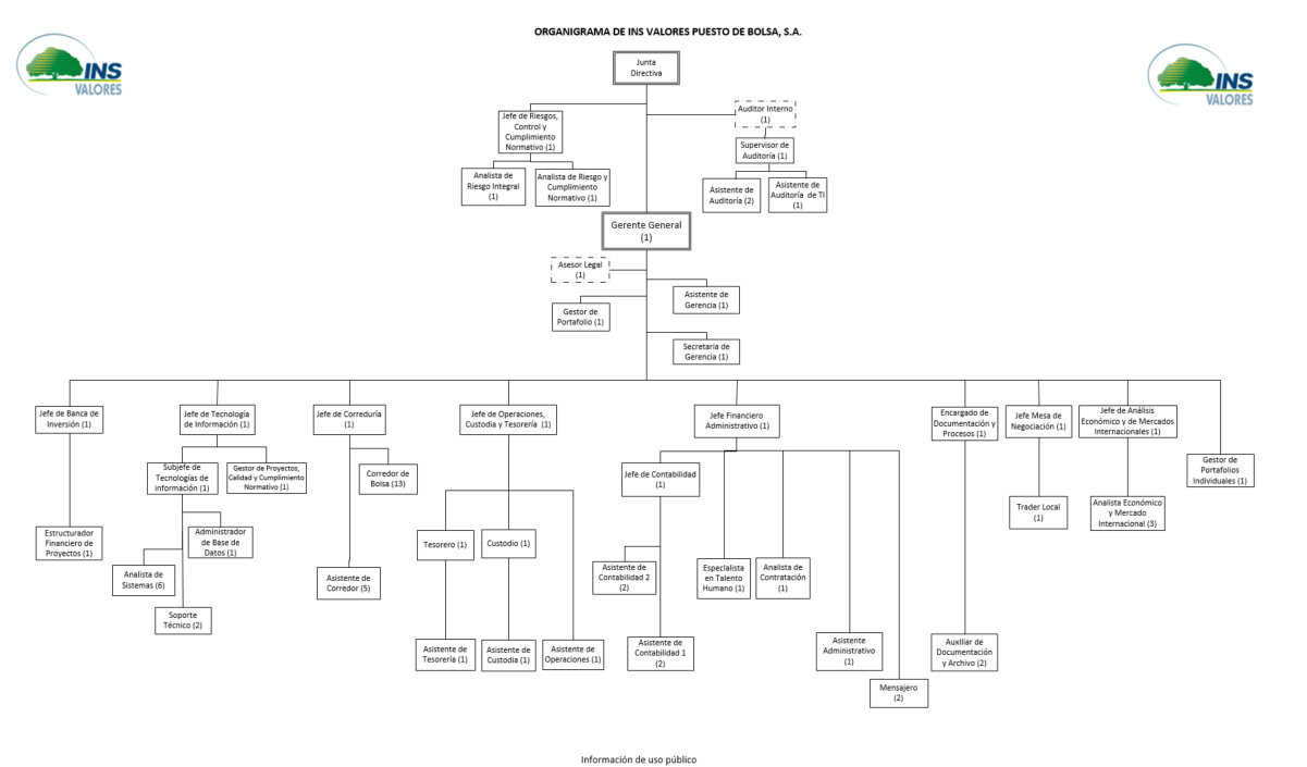 Organigrama INS Valores Puesto de Bolsa S.A.